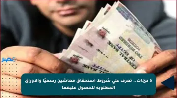 5 فئات.. تعرف على شروط استحقاق معاشين رسميًا والأوراق المطلوبة للحصول عليهما